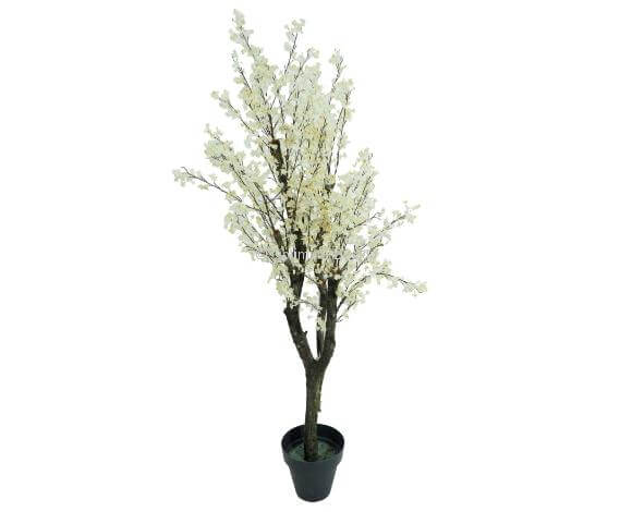 Amandier crème naturel 130 cm