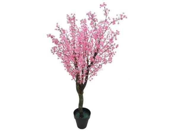 Amandier rose 190 cm