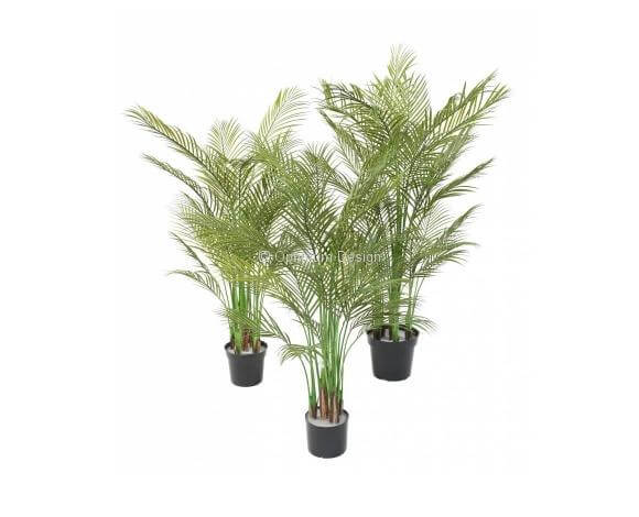 Areca multi PVC 125 145 160 cm