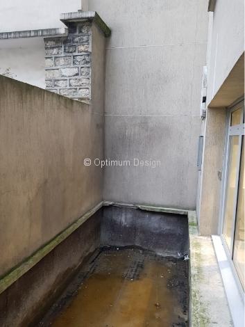 Balcon mur avant habillage en buis à Paris 75015