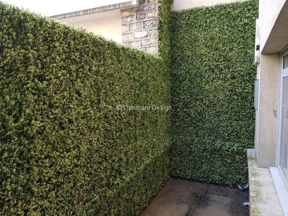 Balcon mur habillage en Buis tombant à Villa Thoreton hôtel Paris 75015