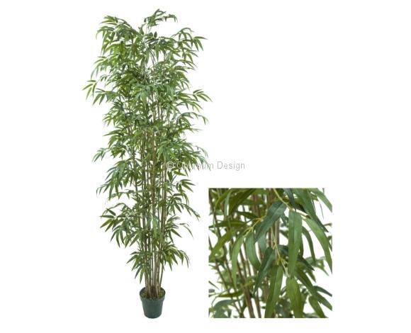 Bambou oriental 150 cm