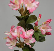 Branche azalé rose