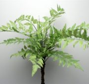 Branche fougère 68 cm