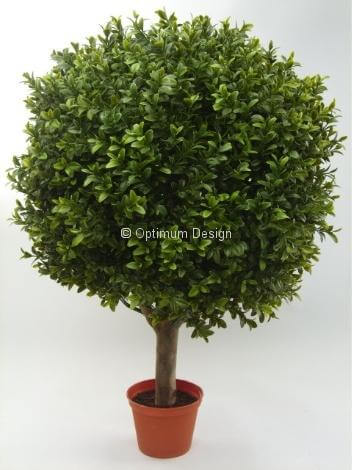 Buis boule tronc bois en pot 65 cm