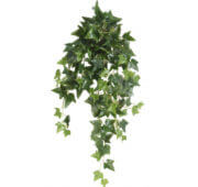Celtic lierre 80 cm