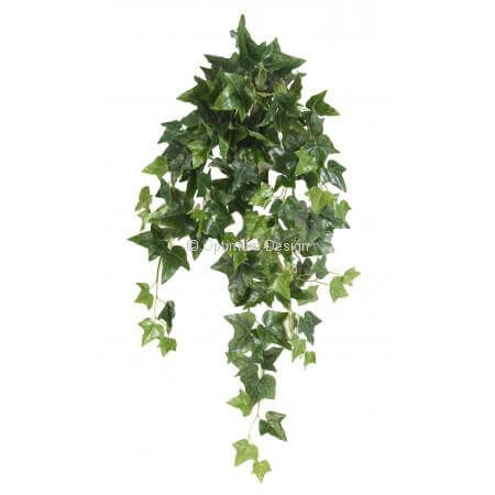 Celtic lierre 80 cm