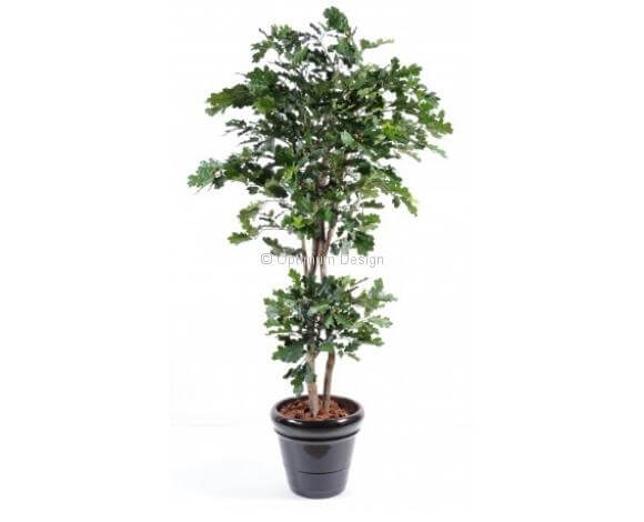 Chêne 2 têtes 180 cm