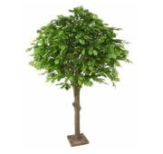 Chêne tête ronde 210 cm