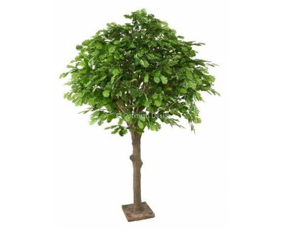 Chêne tête ronde 210 cm
