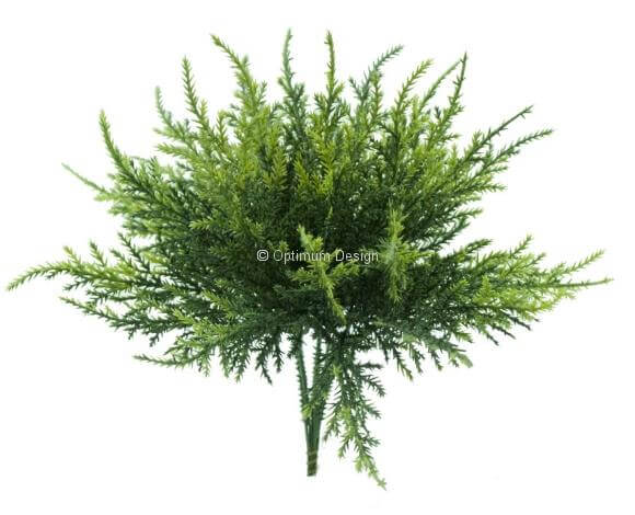 Cyprès branche 25 cm