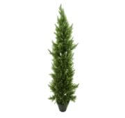 Cyprès classique UV 60, 120, 150, 250 et 400 cm