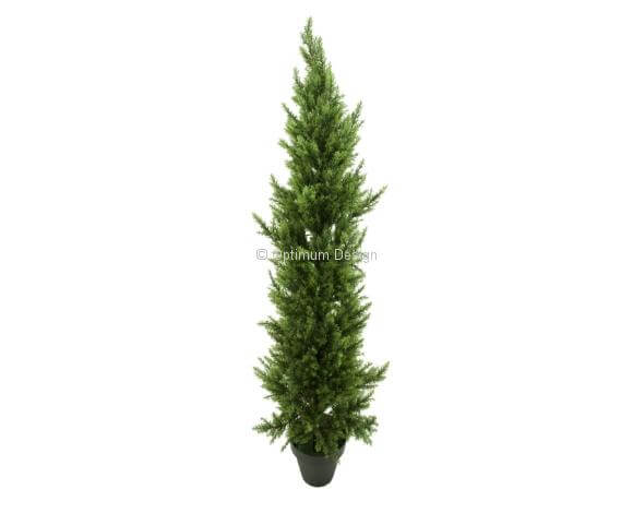 Cyprès classique UV 60, 120, 150, 250 et 400 cm