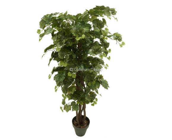 Erable Canada vert 110, 150, 180 cm