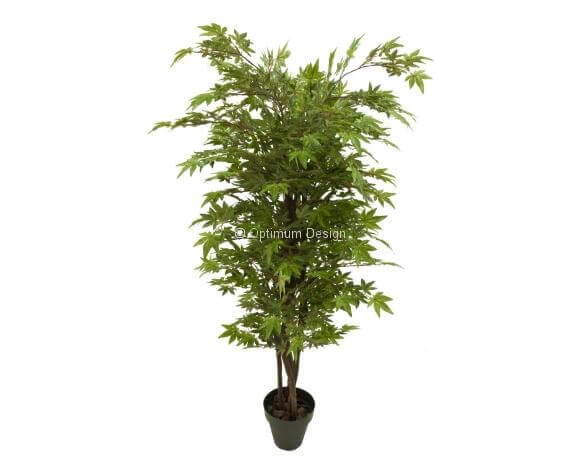 Erable japonais naturel 110, 150 et 180 cm