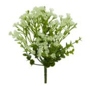 Eucalyptus fleur blanche 25 cm