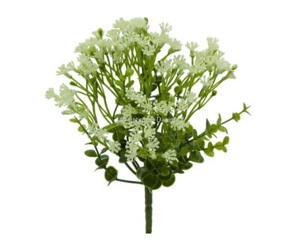 Eucalyptus fleur blanche 25 cm