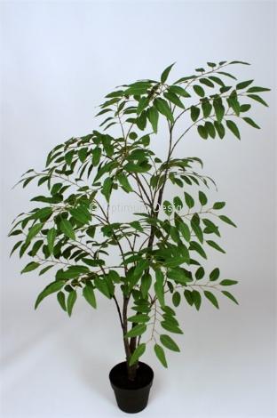 Ficus 3 branches en pot 170 cm