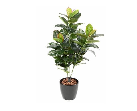 Ficus caoutchouc en- pot 125 cm