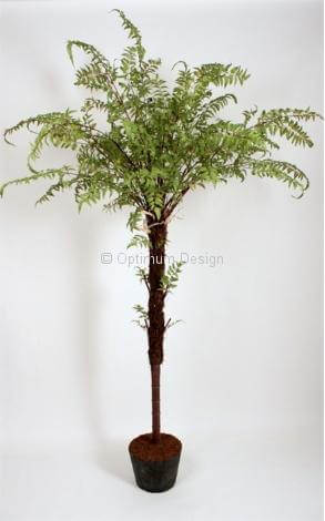 Fougère luxury 250 cm