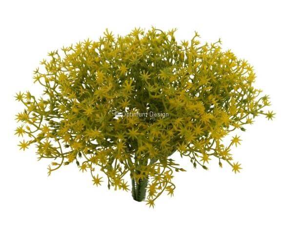 Gypsophile 20 cm jaune