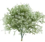 Gypsophile 20 cm vert crème