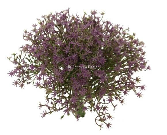 Gypsophile 20 cm violet