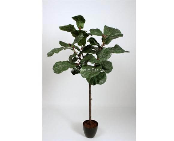 Lyrata 190 cm