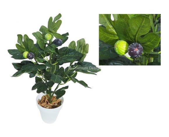 Mini figuier en pot 50 cm