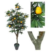 Oranger naturel 120, 150, 180, 210, 240 cm