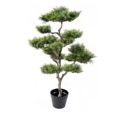 Pin bonsaï 95 cm