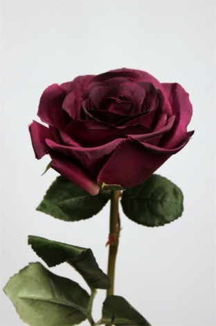 Rose ouverte taupe