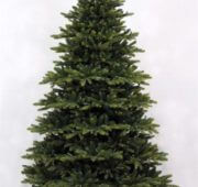 Sapin 380 cm