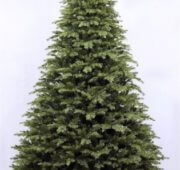 Sapin 380 cm