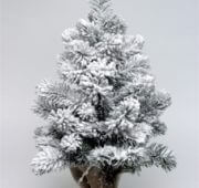 Sapin neige 55 cm