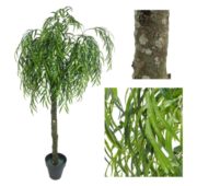 Saule Pleureur vert naturel 180, 210, 240 cm