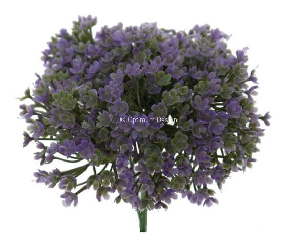 Verveine violet 16 cm
