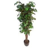 Vigne pied automne 110, 150 et 180 cm