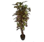 Vigne pied automne 110, 150 et 180 cm