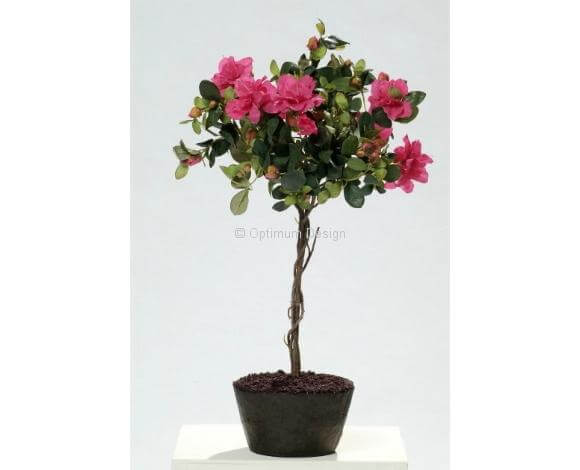 Azalée rose 55 cm