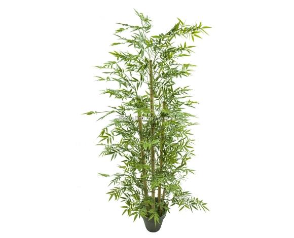 Bambou 150 cm