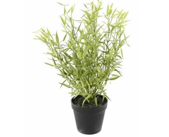 Bambou mini en pot 45 cm