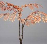 Begonia orange 105 cm