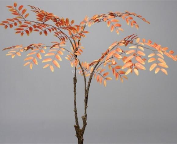 Begonia orange 105 cm