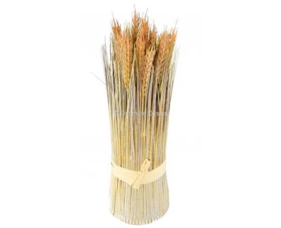 Graminée blé botte 35 cm
