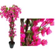 Bougainvillier 150, 180 et 210 cm