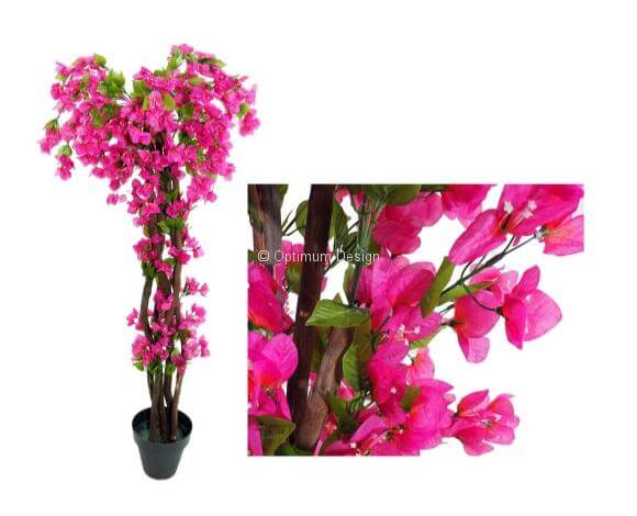 Bougainvillier 150, 180 et 210 cm