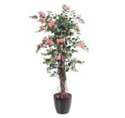 Bougainvillier lianes rose 150 cm