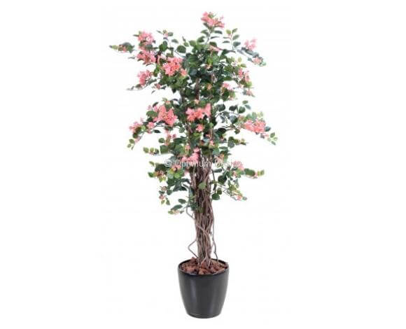 Bougainvillier lianes rose 150 cm