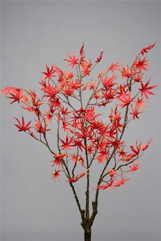 Branche érable rouge